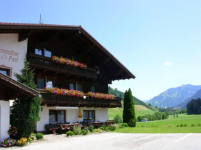 Гостиница Schattwalder Hof  Шаттвальд